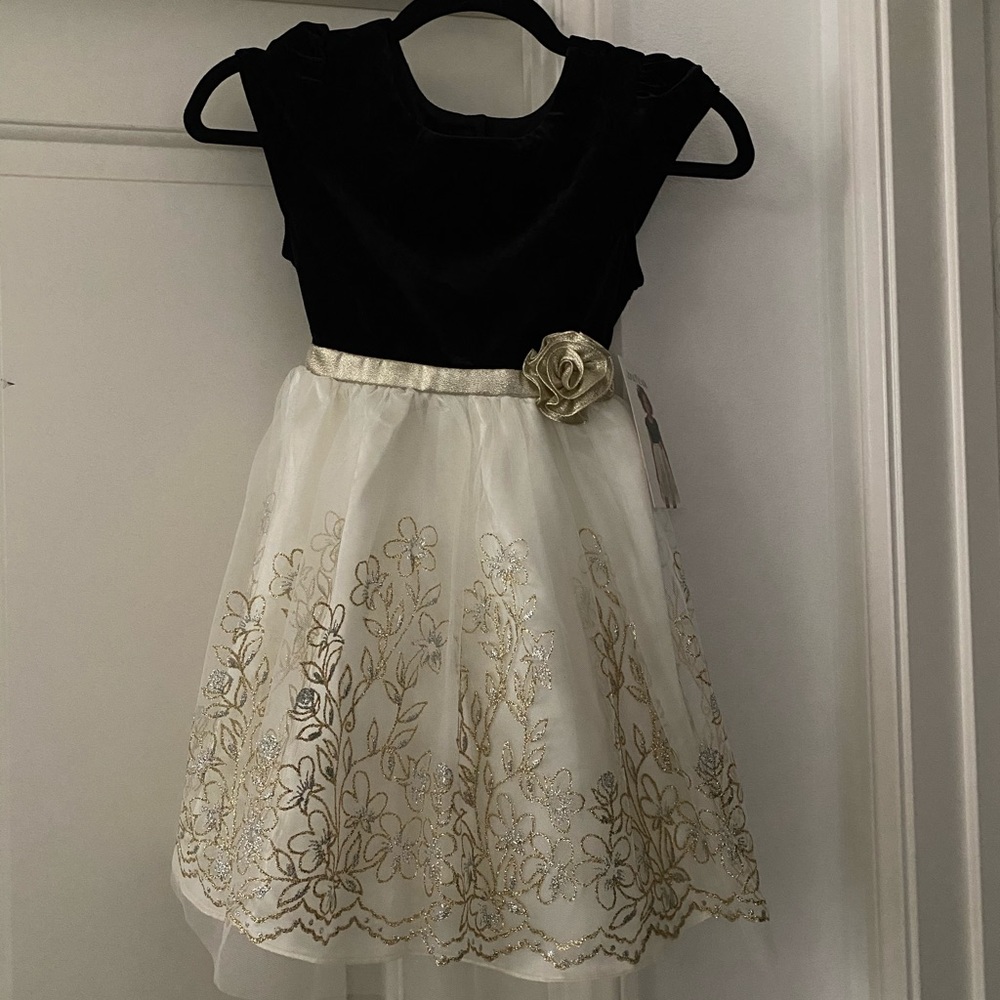 NWT girls velvet and tulle dress